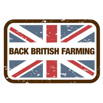 Senape Original English Mustard 100 g COLMAN'S