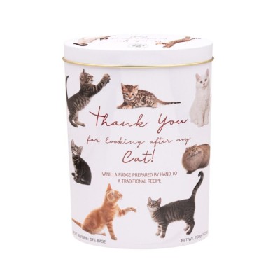 Caramelle Fudge Burro e Vaniglia Cats Gift Box 250 g GARDINERS OF SCOTLAND
