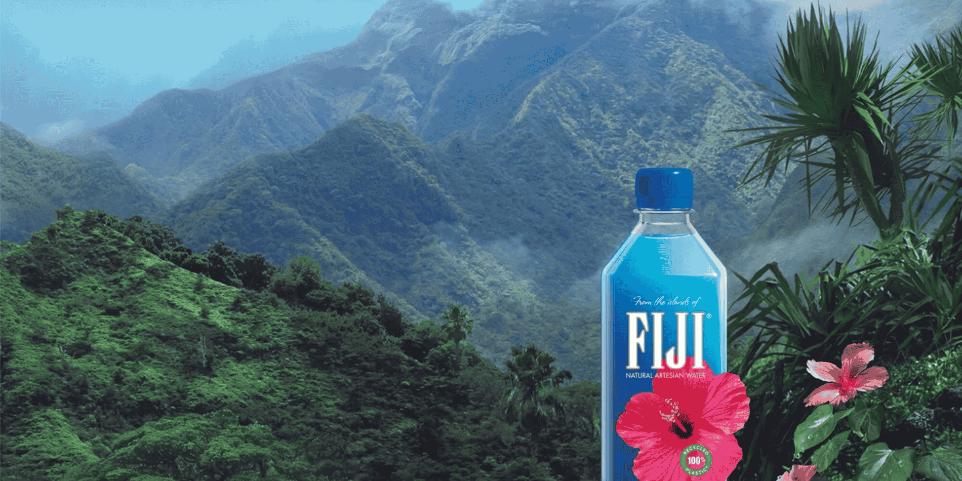 fiji banner