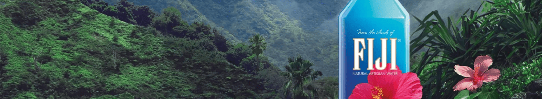 fiji banner