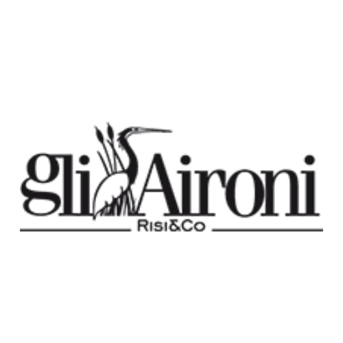 GLI AIRONI